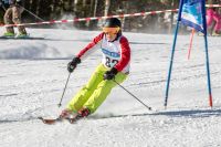 Landes-Ski 2020 - Christoph Lenzenweger - 10
